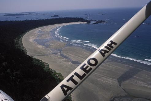 Tofino Scenic Tours